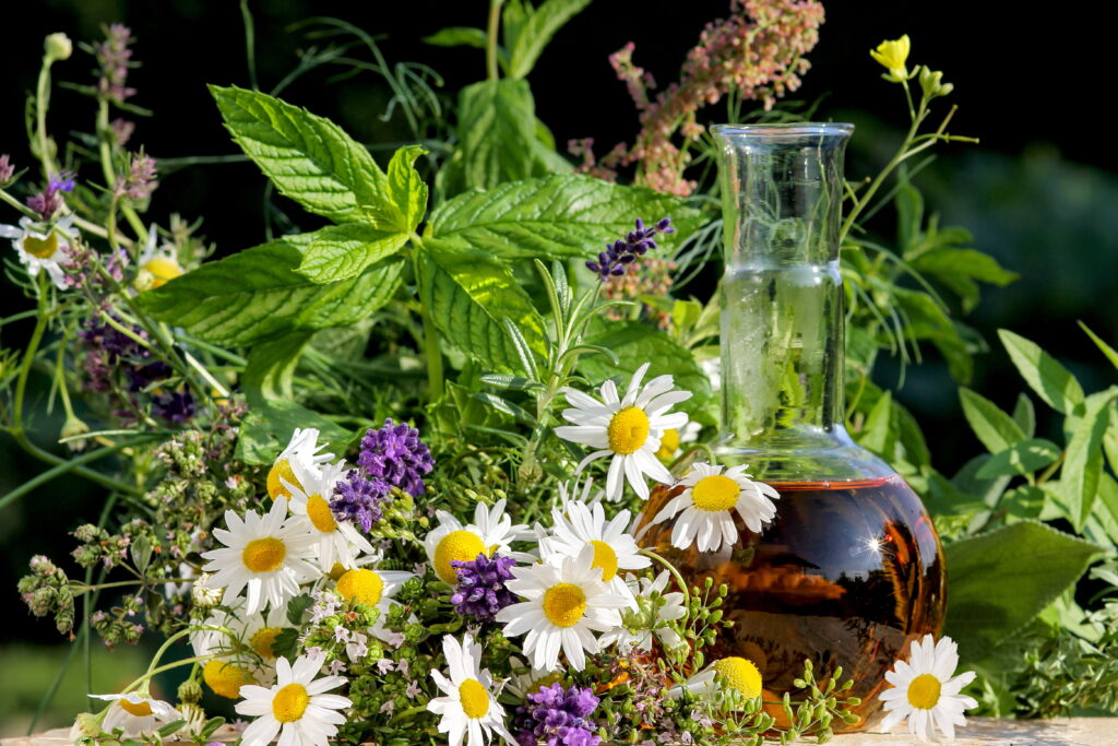 heilpflanzen rezepte heilpflanzen garten anlegen heilpflanzen beet ringelblumensalbe selber machen ringelblumenöl selber machen lavendel pflanzen johanniskraut wirkung johanniskrautöl selber machen pfefferminze pflanzen pfefferminze verarbeiten