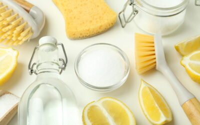 reinigungsmittel selber machen reinigungstipps dusche reinigungstipps fliesen